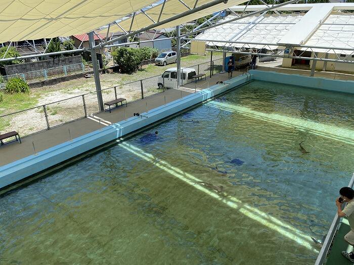 【高知】大人も楽しいぞ！ノスタルジックな「むろと廃校水族館」へ行こう