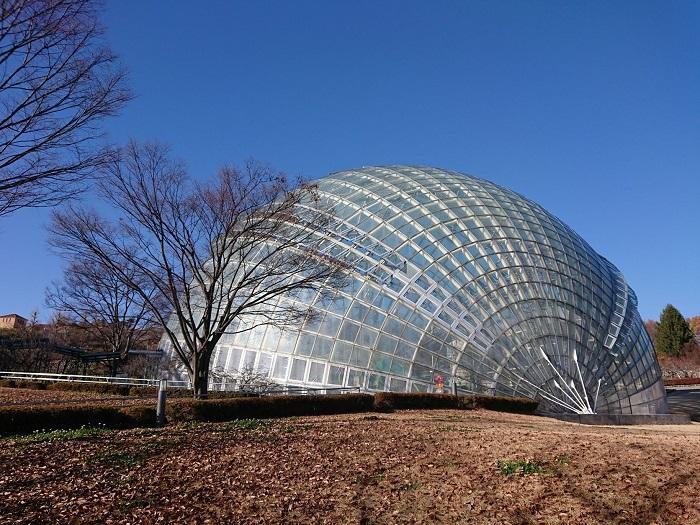 山梨市の古民家酒蔵カフェと絶景のフルーツパークと温泉に行ってきた！