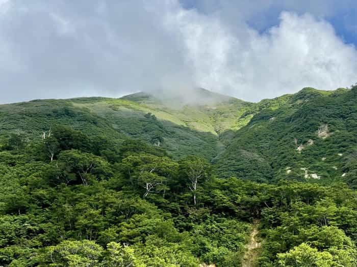 【山形】出羽三山は12年に一度の丑歳御縁年を迎えています