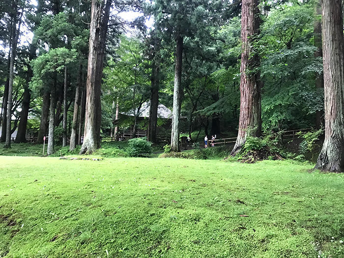 初めての東北ぐるり旅！＜秋田県、青森県、岩手県、宮城県＞