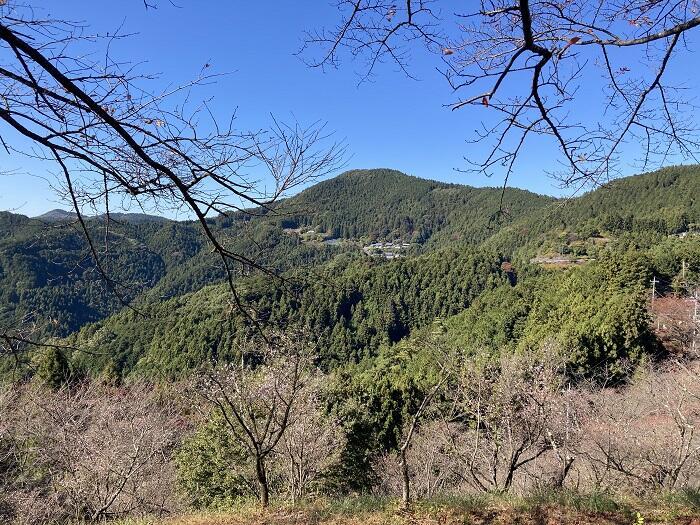 【群馬・藤岡】紅葉と桜を一度に楽しめる桜山公園とみかん狩りと藍染体験