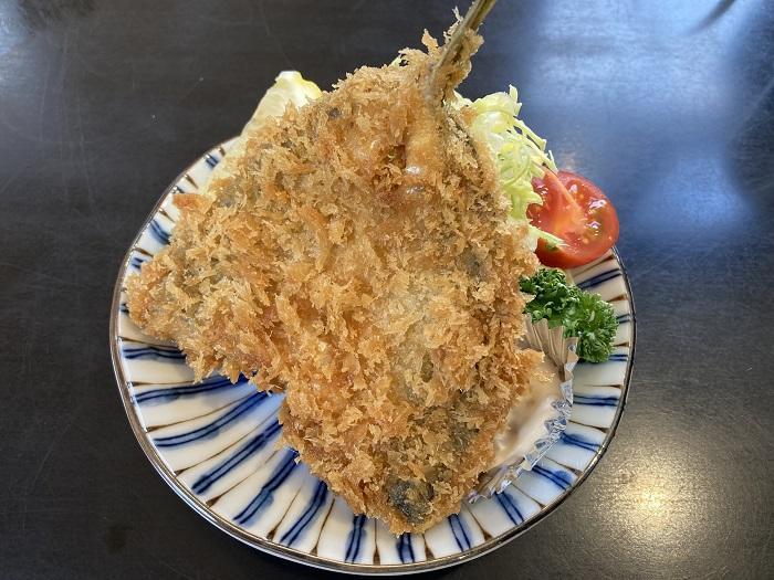 【神奈川県三浦半島食い倒れ旅】三崎グルメといえば・・・やっぱマグロでしょ！