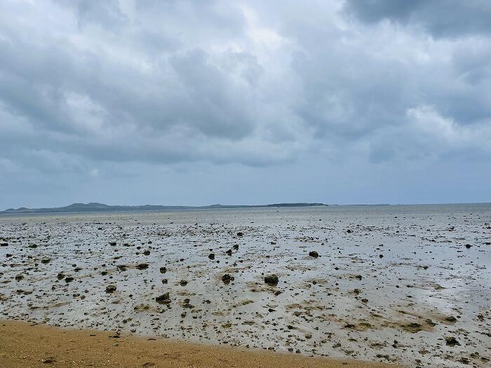 由布島「水牛に乗って島渡り！？由布島を水牛に揺られて散策しよう！！」