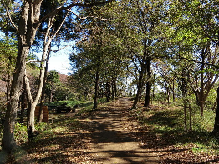 弘法山公園（弘法山）は初心者にも優しいお手軽ハイキングコース