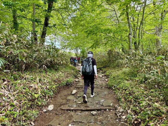 8回目の尾瀬はベストシーズンに初めて日帰りで（群馬）お疲れ様でした！