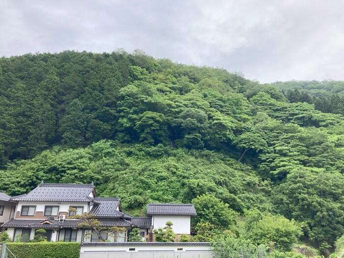 【兵庫県・養父市】400年の歴史を持つ 朝倉山椒 のすごさを知った