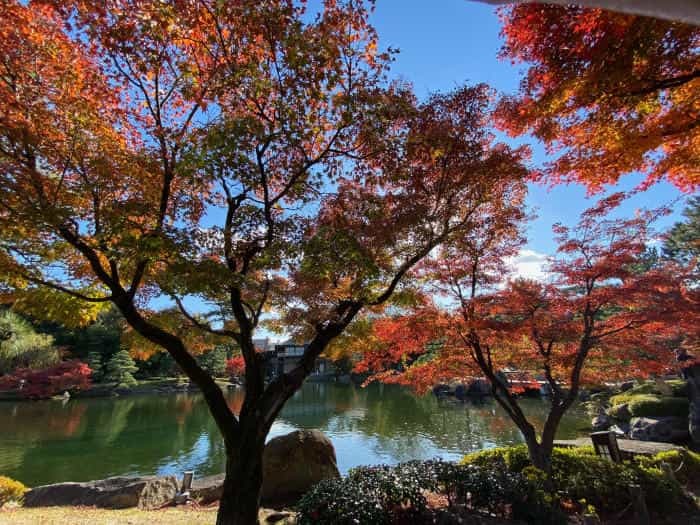 愛知県の素敵な美術館6つを紹介：アートに囲まれた癒しの1日を過ごしてみませんか？