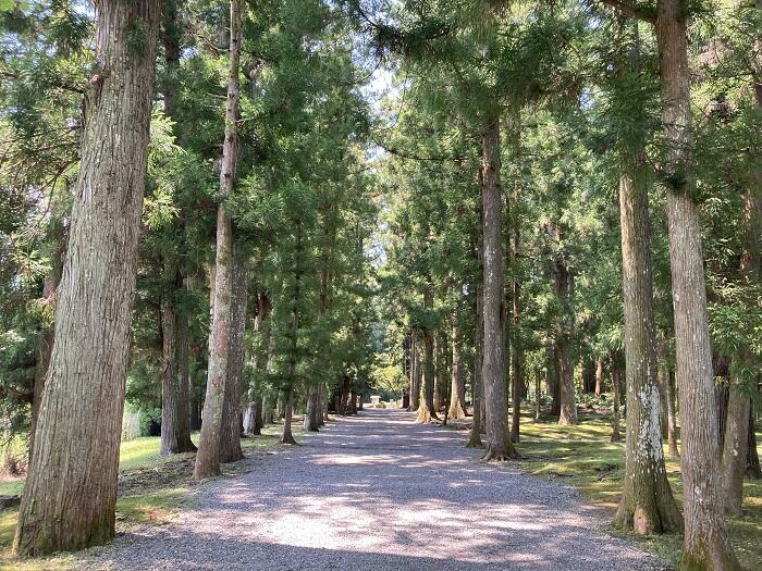 和歌山県を旅するなら、レール＆レンタカーがおすすめ！ 美しい海岸線と雄大な風景を満喫してきました。