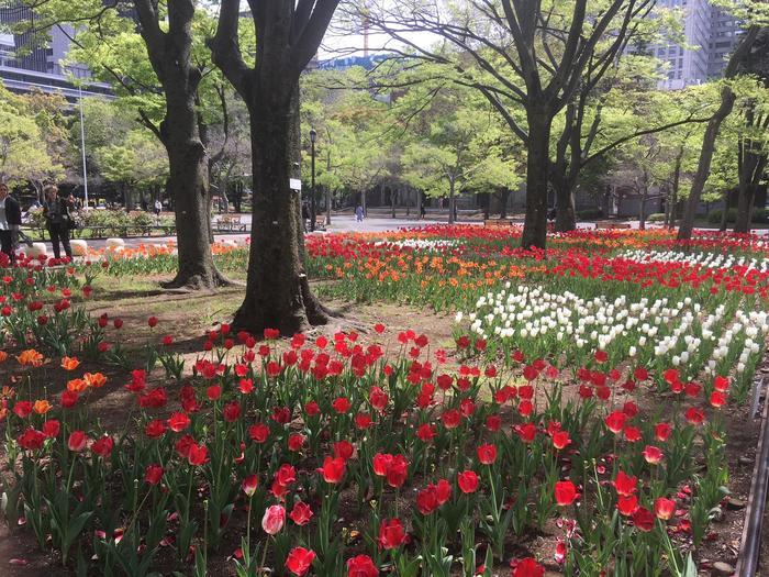 東京／お散歩好きな方必見！都心のど真ん中にこんな緑豊かな場所があるなんて・・・