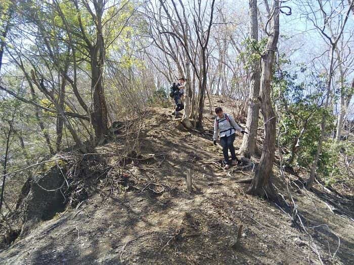 【お花見登山】桜満開のお伊勢山から岩殿山を縦走する日帰り山旅