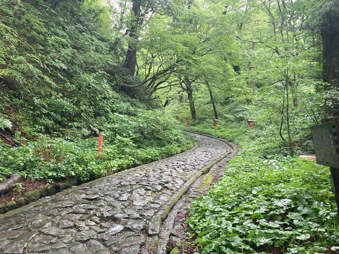 【鳥取】大神山神社　日本一長い石畳の参道に心落ちつく