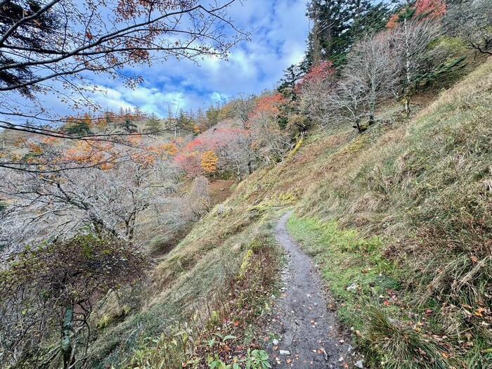 【日本百名山】23座目は天空の絶景ロードを見たくて剣山へ（徳島県）