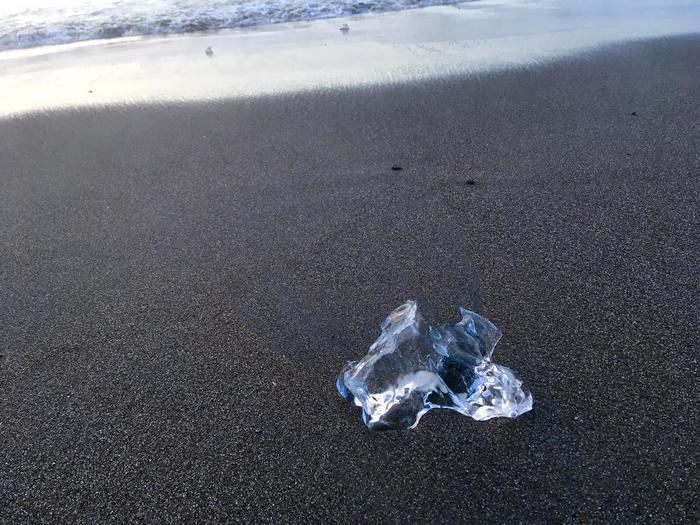 「ここでしか見ることができない」自然が造る宝石が転がっている海岸/北海道ジュエリーアイス