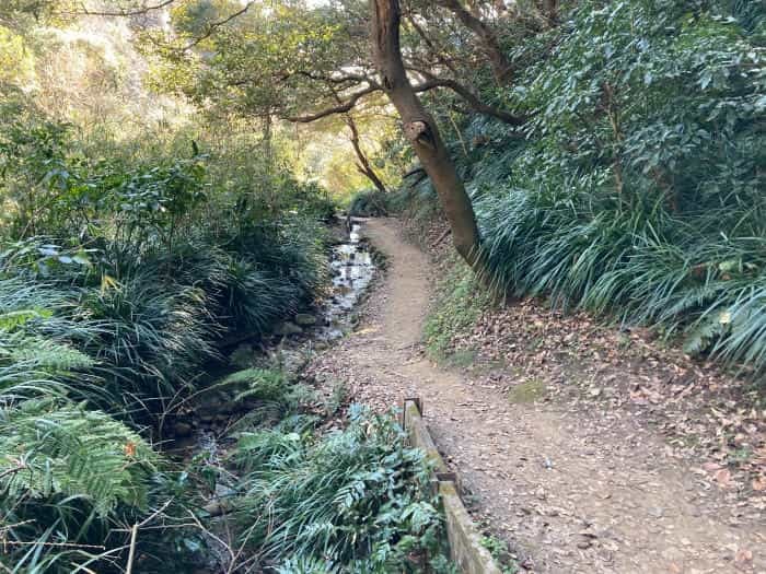 【逗子】披露山（ひろやま）公園で、ザ・湘南な絶景をどうぞ！