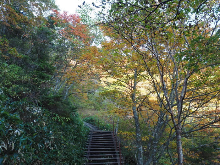【愛媛県】西日本最高峰、紅葉の石鎚山と土小屋テラスの絶品ジビエコロッケを紹介♪