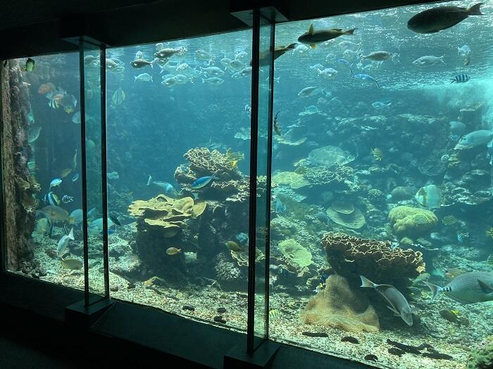 和歌山県を旅するなら、レール＆レンタカーがおすすめ！ 美しい海岸線と雄大な風景を満喫してきました。