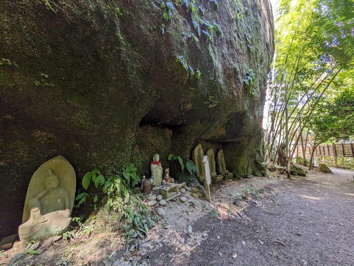 【神奈川】私の真夏の鎌倉 大人な旅 名刹とグルメを求めて