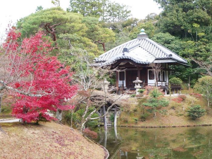 【京都】美意識の結晶「桂離宮」を堪能！～最古の回遊式庭園と風雅な建築群を見学してきました