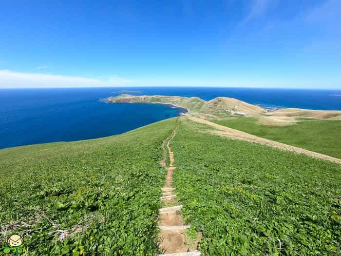絶景の連続!北海道・礼文島でトレッキングを楽しもう~岬めぐりコース編~