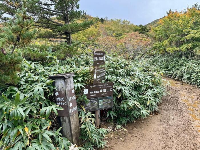 【日本百名山】20座目は紅葉の絨毯を見に安達太良山へ（福島県）