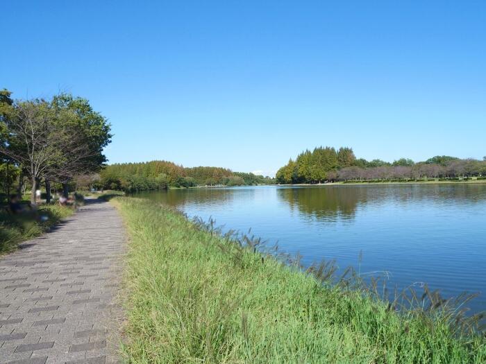 【東京】毎月楽しめる！都内最大の水郷公園「水元公園」の12か月