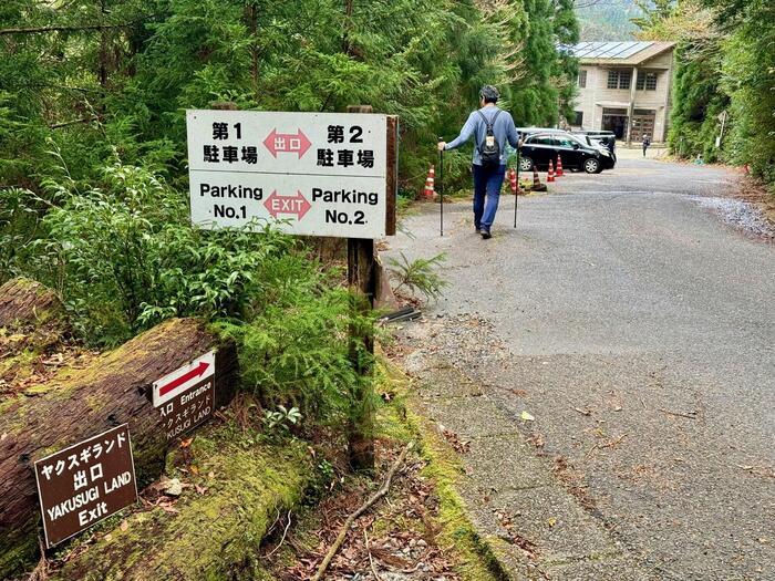 【鹿児島】ヤクスギランドは誰でも気軽に行ける自然植物園