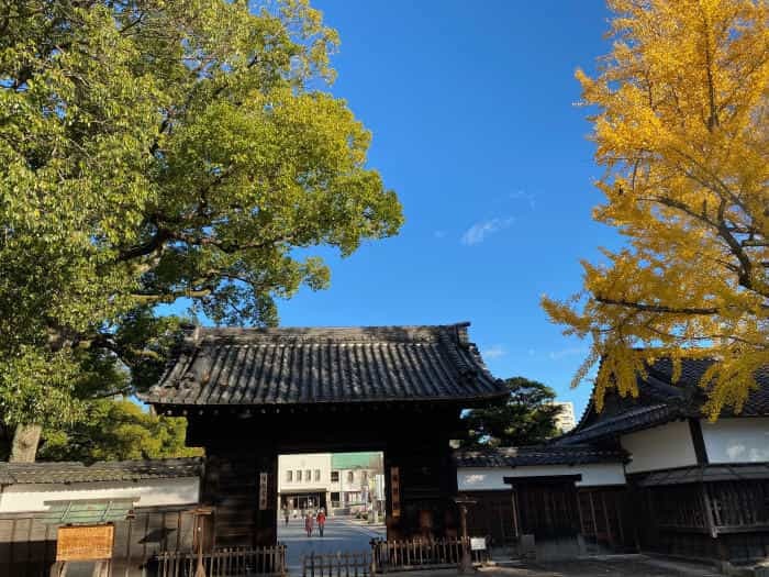 愛知県の素敵な美術館6つを紹介：アートに囲まれた癒しの1日を過ごしてみませんか？