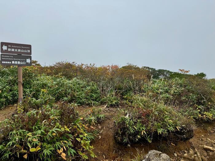 【日本百名山】20座目は紅葉の絨毯を見に安達太良山へ（福島県）