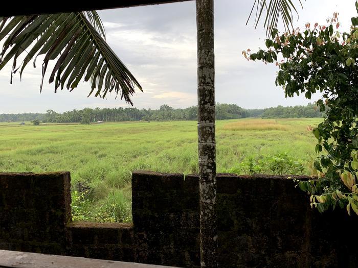 【インド】心と体をきれいにしよう。アーユルヴェーダの旅