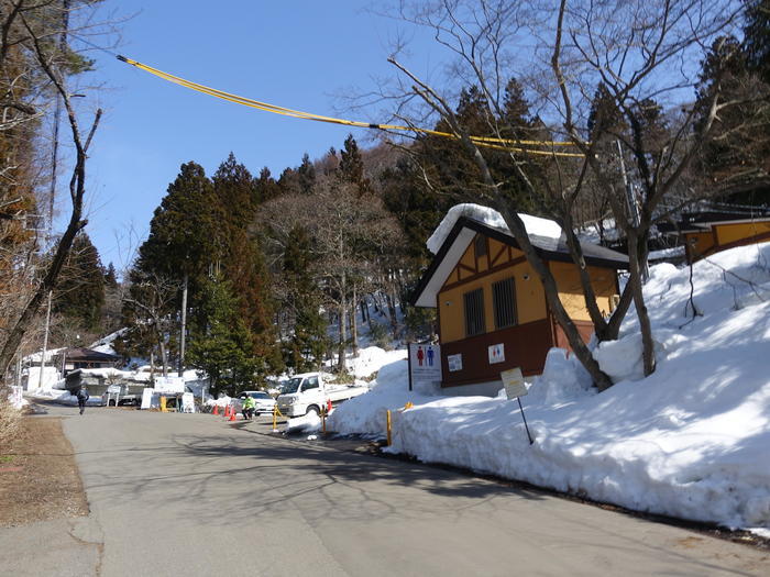 【長野】世界でここだけ！ニホンザルが温泉に入る地獄谷野猿公苑