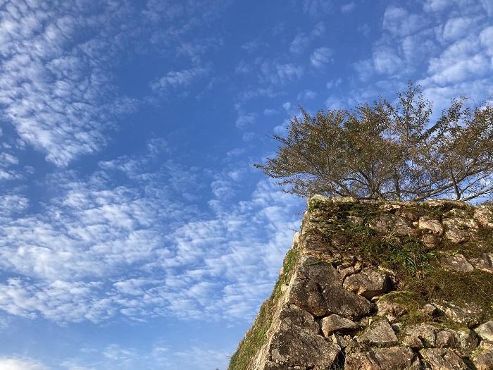 【兵庫県朝来市】シャッターを切る手が止まらない！ 時代に翻弄された天空の城「竹田城」の魅力とは？