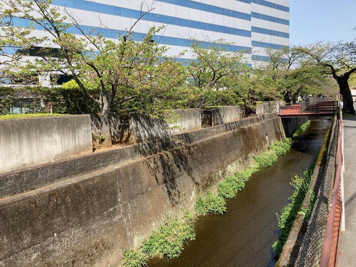 【鎌倉】地元民が教える大船〜北鎌倉のマニアックおさんぽ道