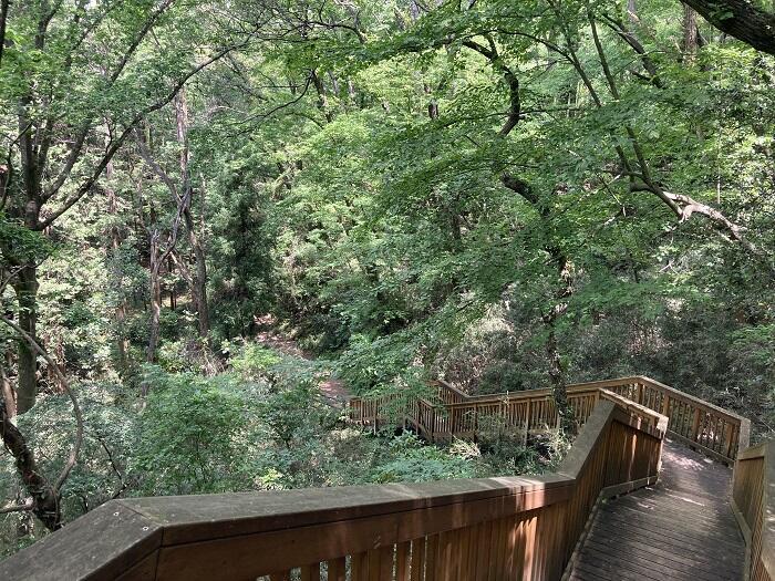 【八王子】とても公園とは思えない、しっかり山歩きを楽しめる「長沼公園」を歩く