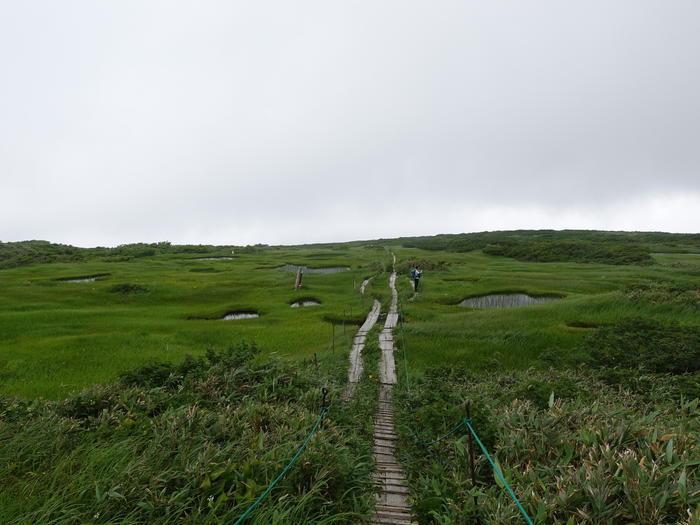 【山形】月山八合目・弥陀ヶ原湿原の歩き方