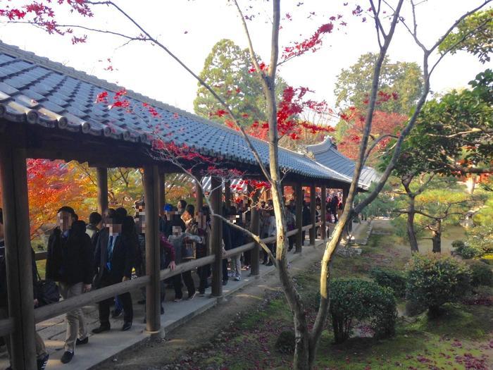 京都　東福寺の紅葉は、やはり圧倒的に美しかった。