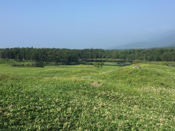 目で!肌で!五感で!北海道・道東の大自然を感じてきました!