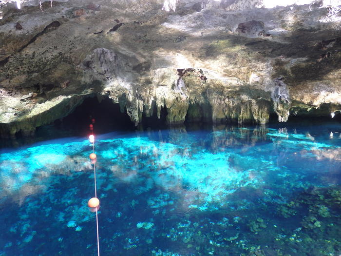 【メキシコ】一生に一度は行きたい世界の絶景!ダイバーの聖地、透明度抜群のセノーテダイビング!