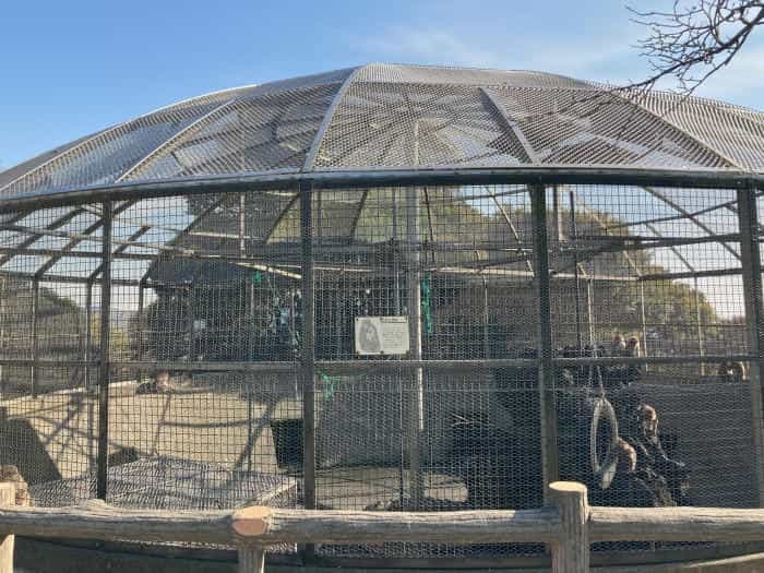 【逗子】披露山（ひろやま）公園で、ザ・湘南な絶景をどうぞ！