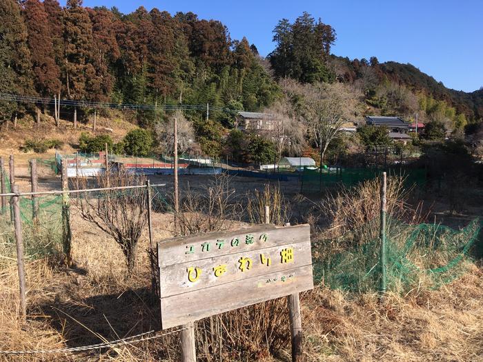 【埼玉・飯能】顔振(かあぶり)峠:義経伝説と渋沢平九郎の悲劇の舞台