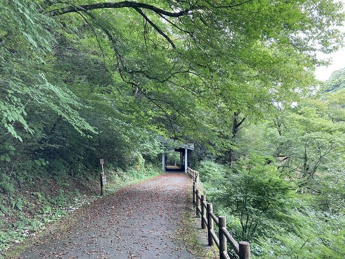 【広島県】思わず深呼吸したくなる町！神石高原町は たくさんの”おいしい●●”がある町だった。