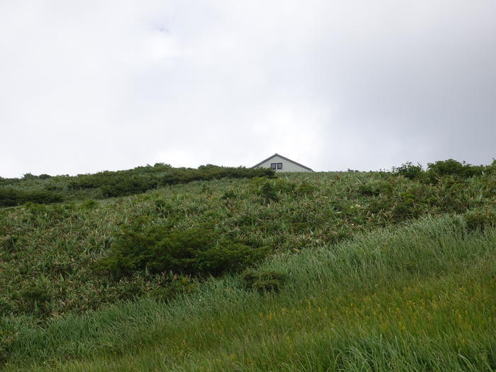 【山形】月山八合目・弥陀ヶ原湿原の歩き方