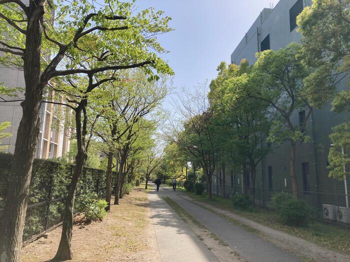 【鎌倉】地元民が教える大船〜北鎌倉のマニアックおさんぽ道