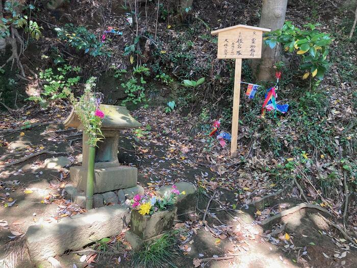 【鎌倉】地元民が教える大船〜北鎌倉のマニアックおさんぽ道