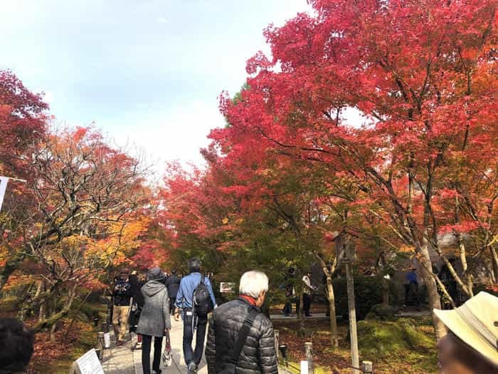 紅葉に食べられそう...秋の京都「南禅寺」と「永観堂」は素晴らしかった！