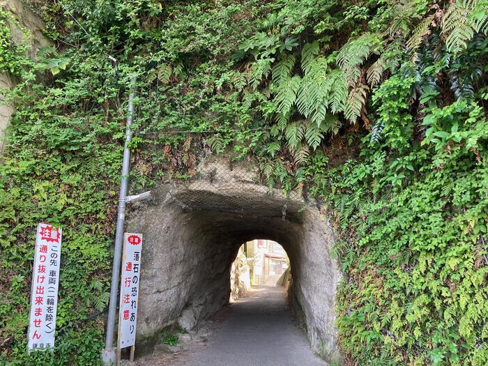 【鎌倉】地元民が教える大船〜北鎌倉のマニアックおさんぽ道