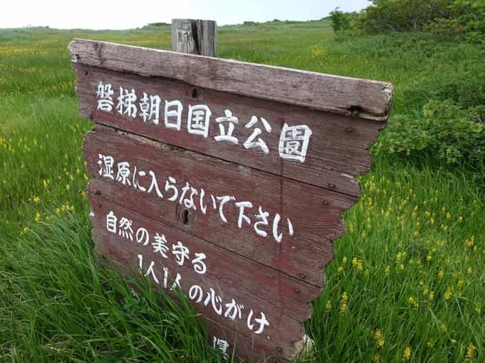 【山形】月山八合目・弥陀ヶ原湿原の歩き方