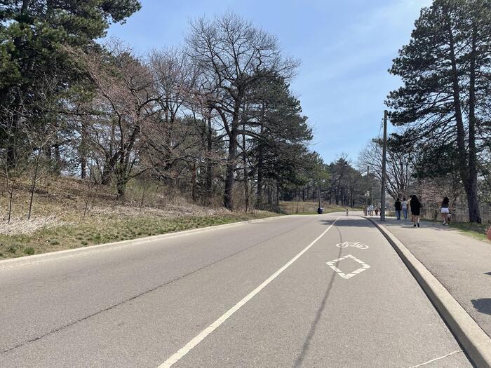 トロントの観光地ハイパークで春のハイキング