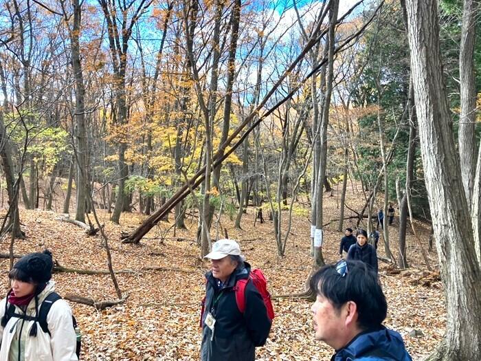 【群馬・藤岡市】桜山公園で森林空間を楽しむセラピー・トレイル体験モニターツアー