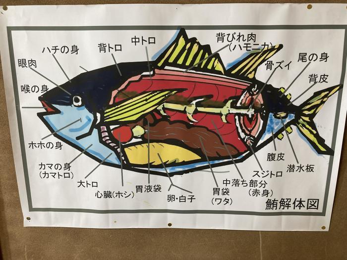 【神奈川県三浦半島食い倒れ旅】三崎グルメといえば・・・やっぱマグロでしょ！