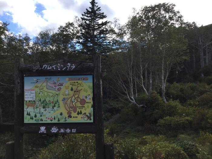 日本一早い紅葉！錦秋の北海道・大雪山ハイキング